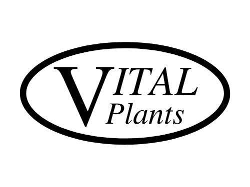 Vital Plants
